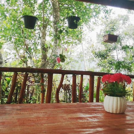 אלה Deneth Homestay מראה חיצוני תמונה