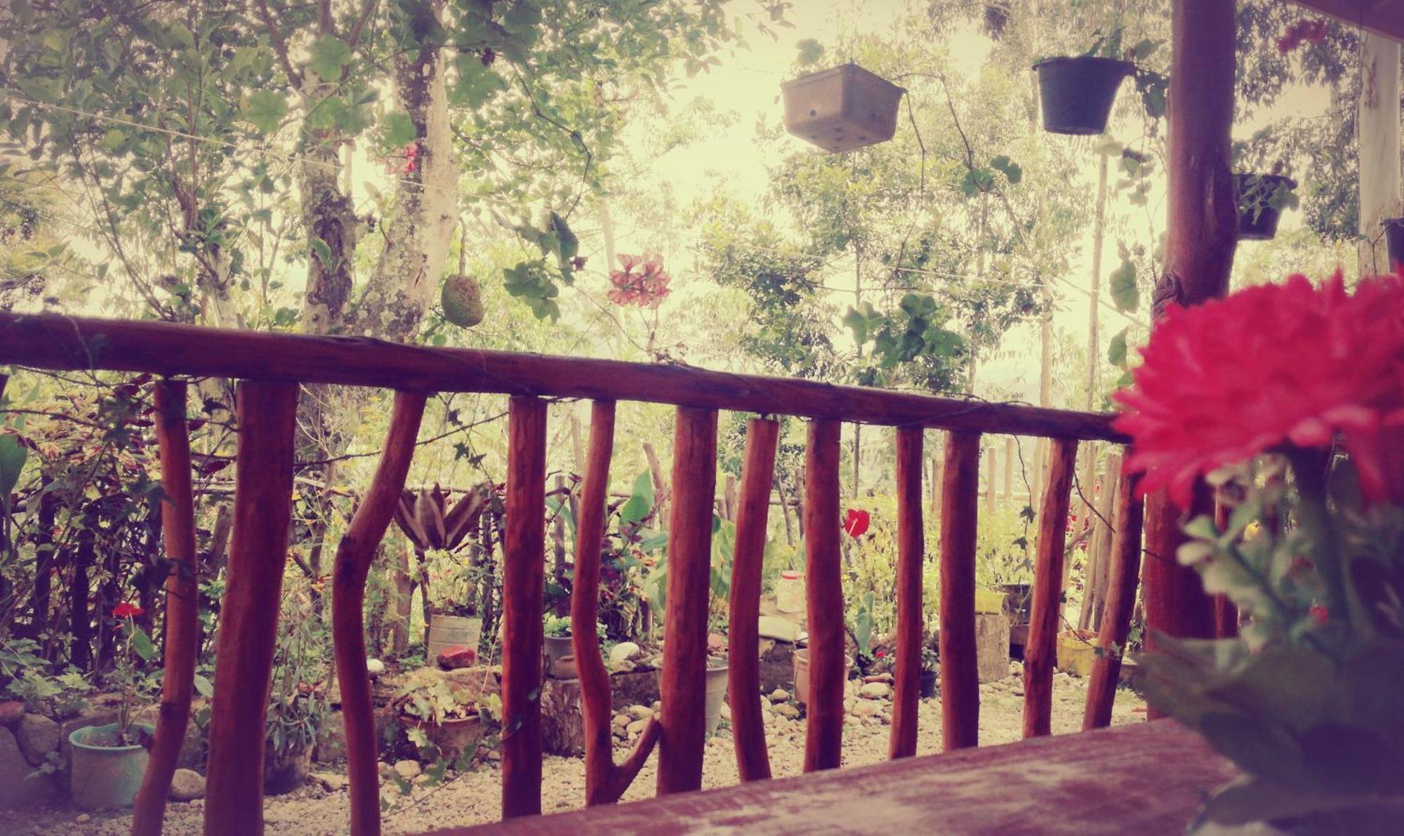 אלה Deneth Homestay מראה חיצוני תמונה