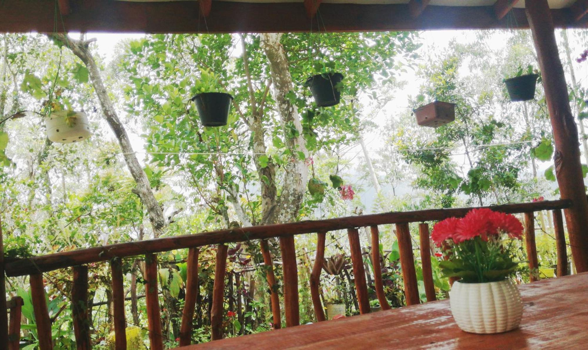 אלה Deneth Homestay מראה חיצוני תמונה