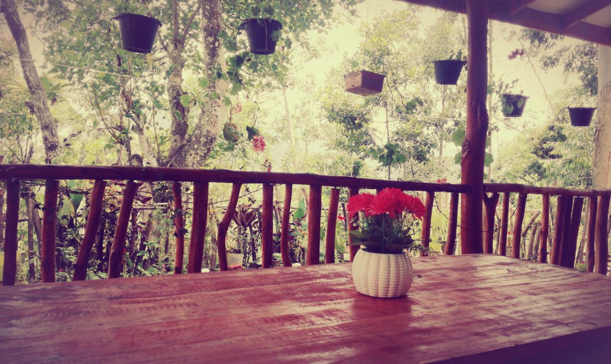 אלה Deneth Homestay מראה חיצוני תמונה